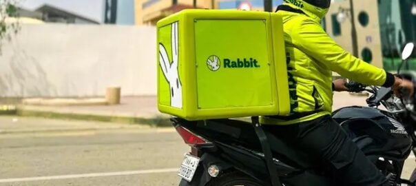 Rabbit