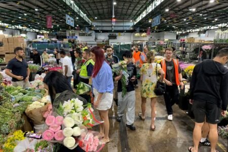 retail sales and Reserve Bank of Australia